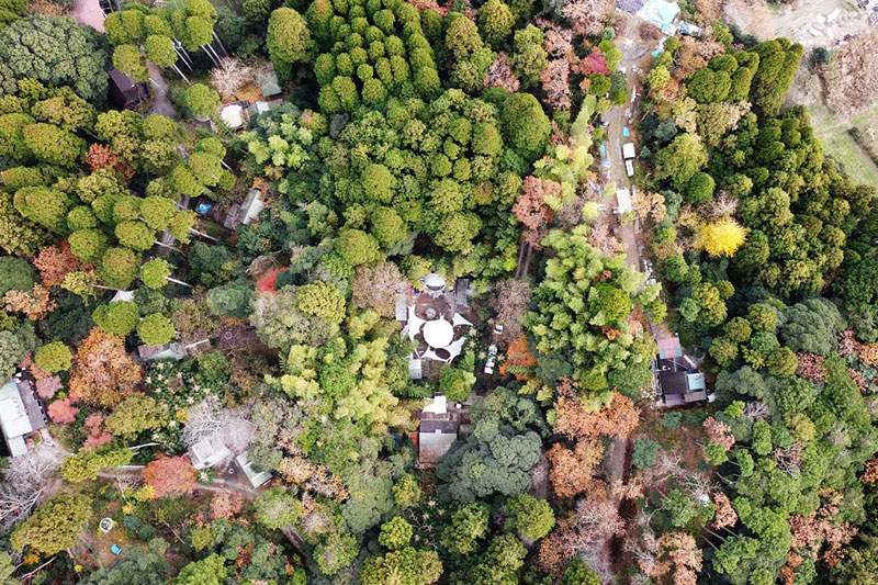 Party Photo Thumbnail